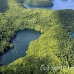 lake_jellyfish_h_0048_pal1867.jpg